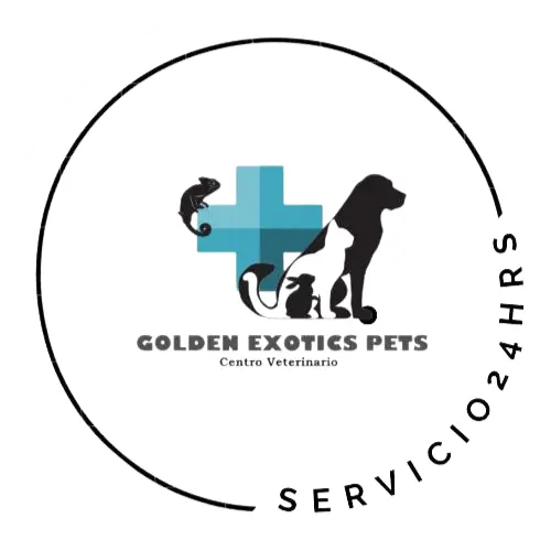 Golden Exotics Pets